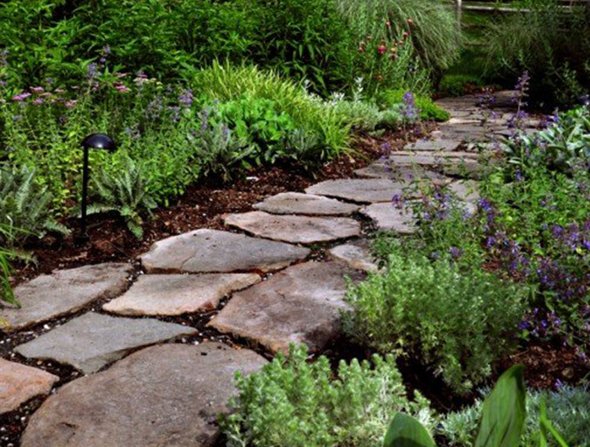 Natural stone path with plants
