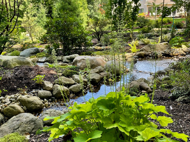The central section of the garden with stream and native plantings.