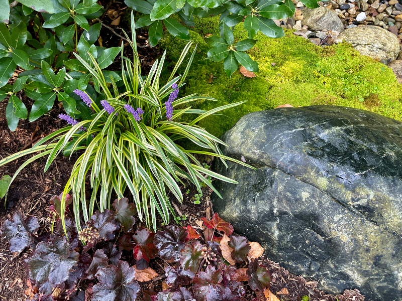 Perennials, moss, and natural stone.