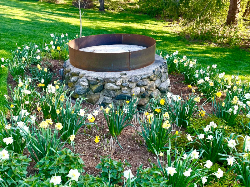 Firepit ring in place and ready for planting.