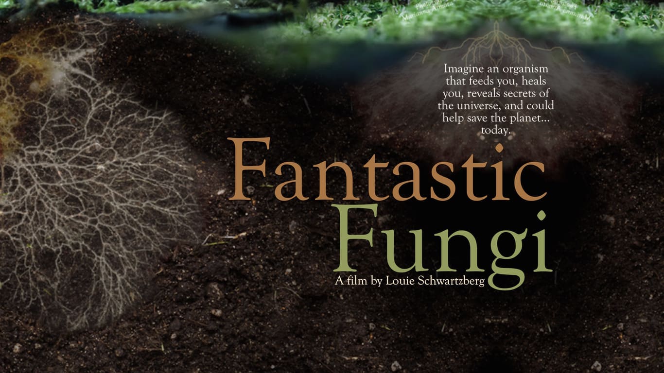 fantastic fungi movie