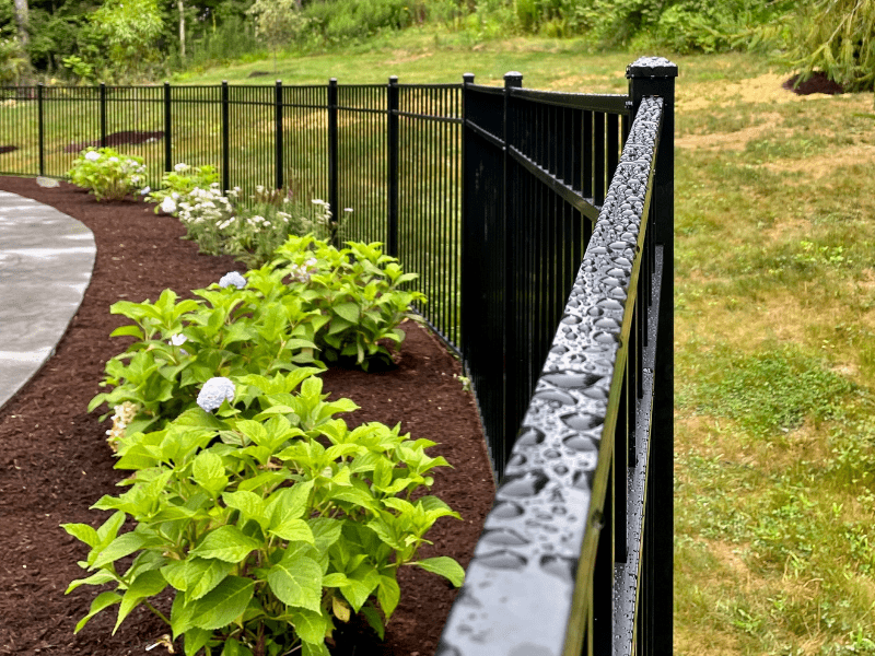 Hydrangeas soften pool harscape