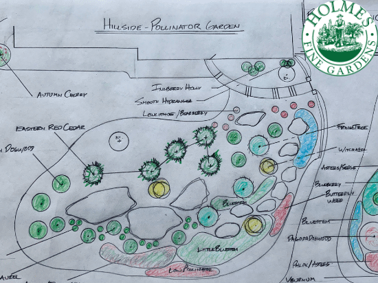 hand drawn garden plan